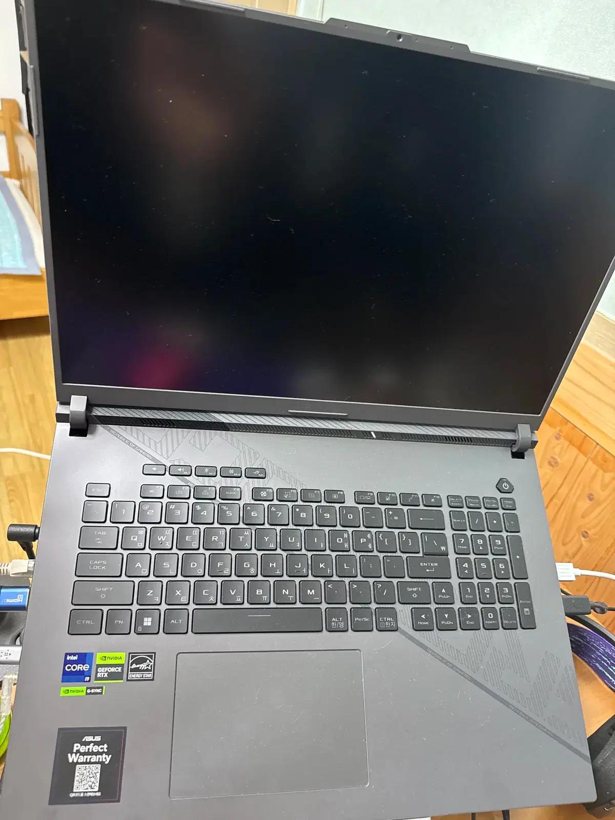 에이수스 로그 스트릭스 g18 rtx4060 1tb 16gb