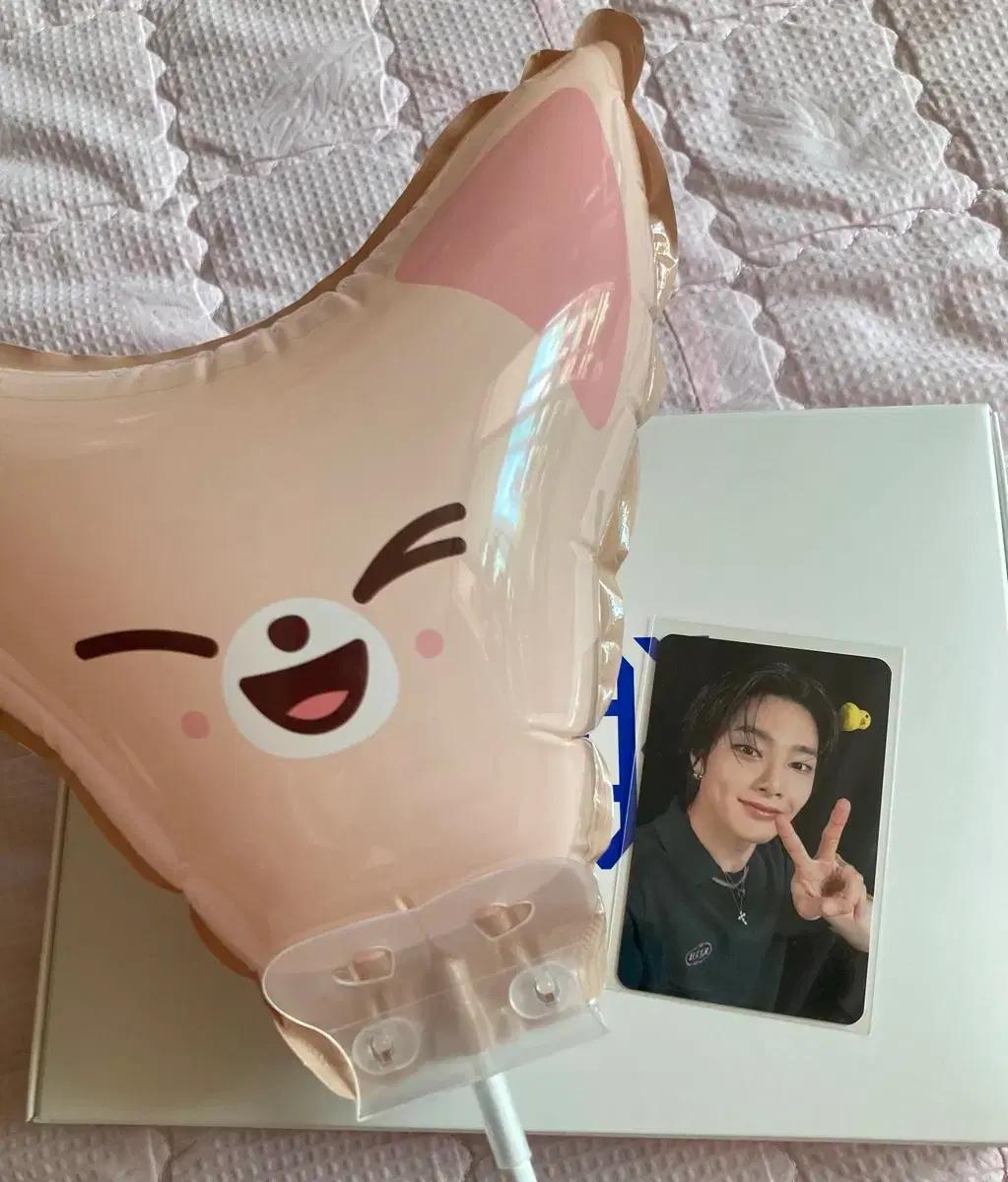 스트레이키즈 아이엔 카르마팝업 1주차 럭드 + 폭시니풍선