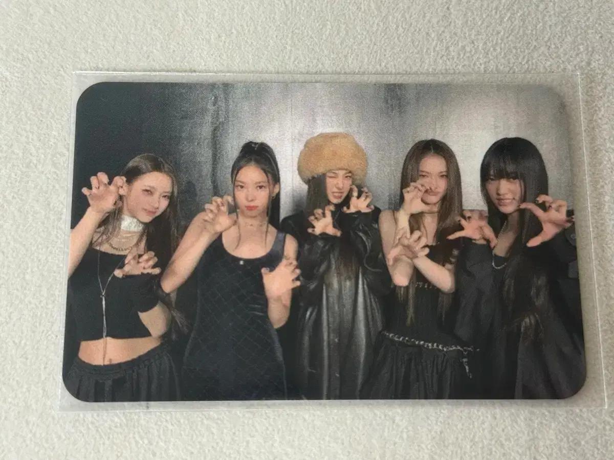 미야오 meovv 데뷔 공방 단체포카 미야오 안나 수인 엘라 나린 가원