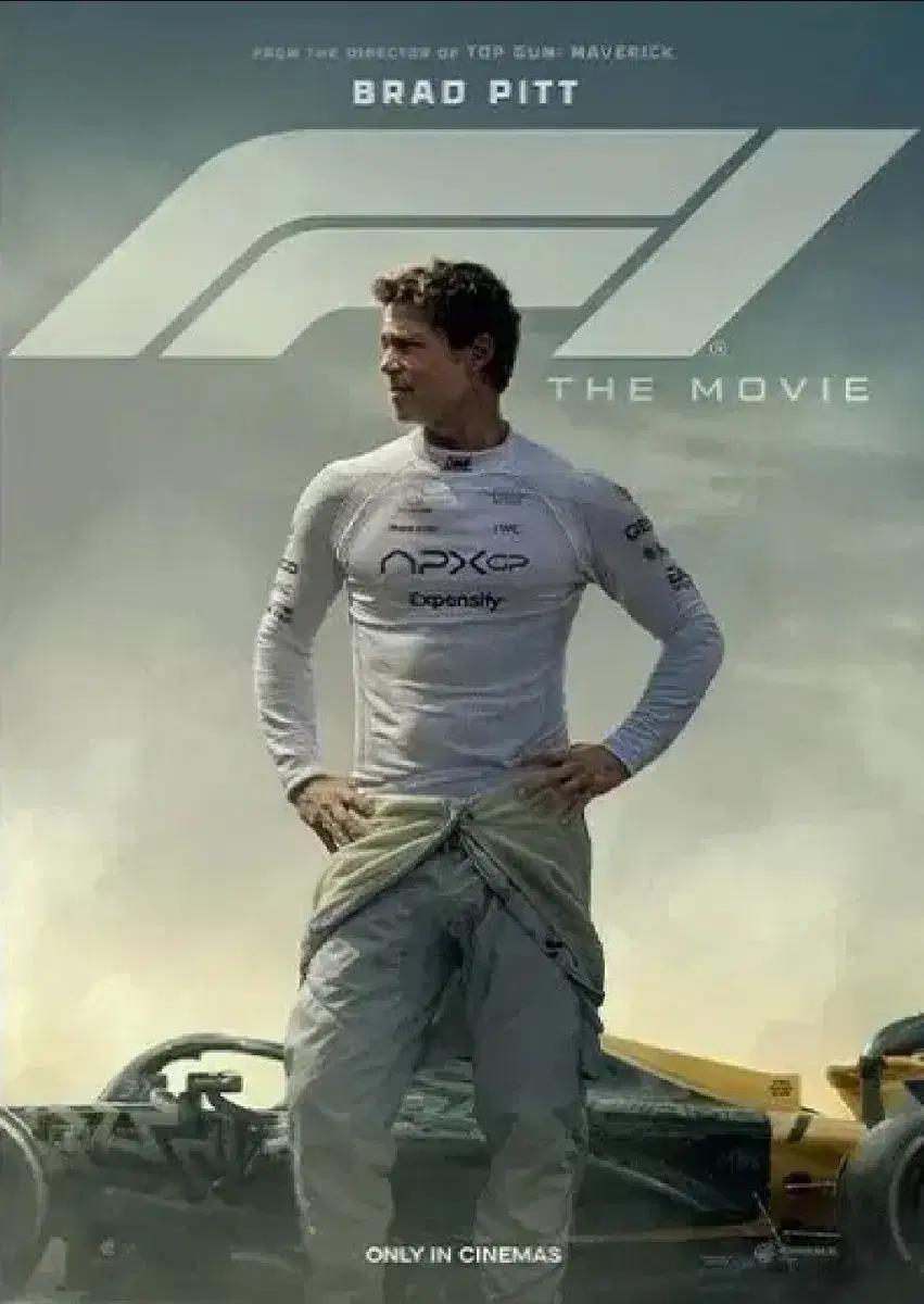 영화 포스터 판매 어쩔수가없다 라이언일병구하기 슈퍼맨 F1 돌비포스터
