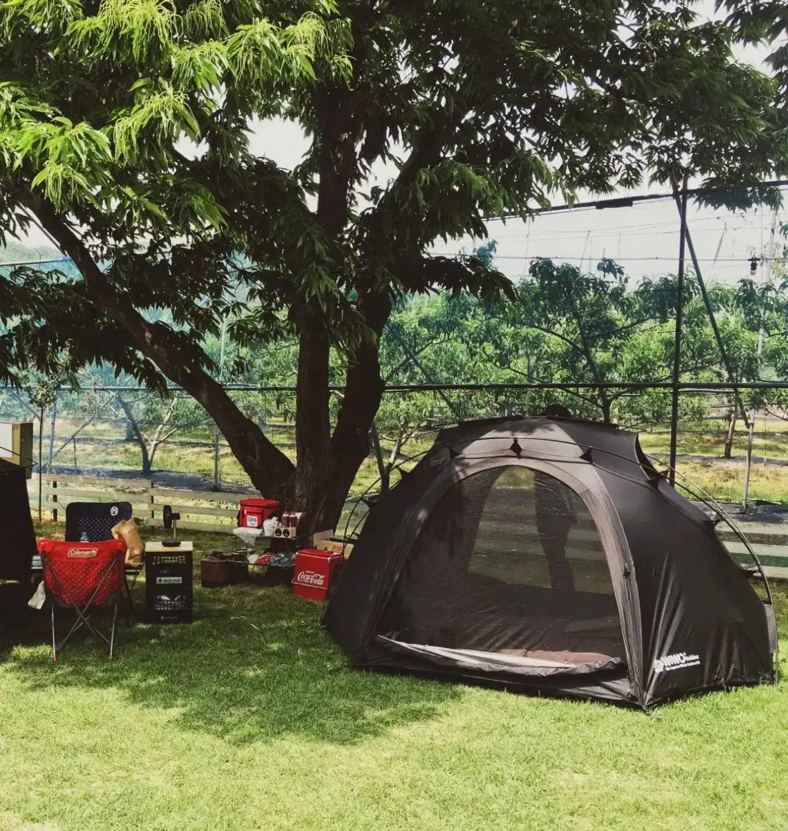 위오 새턴돔 텐트(블랙)