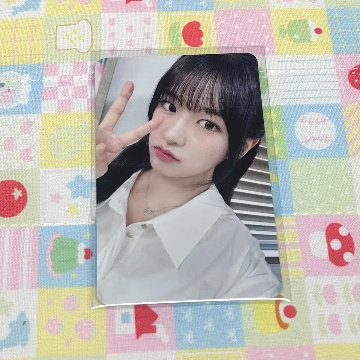 아이브 월드투어 트레카 안유진 포카