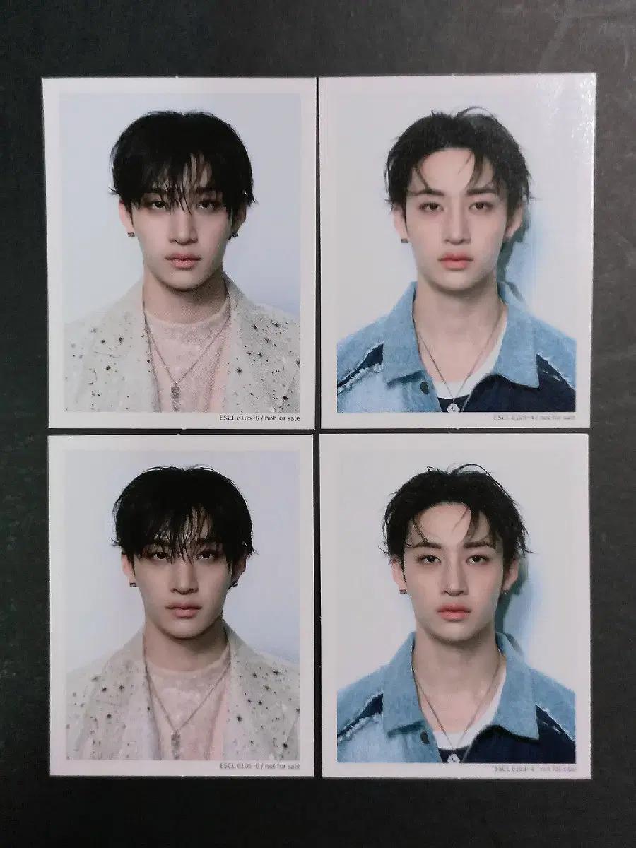 최저가 방찬 증사 스트레이키즈 Hollow할로우 일본 울프찬 홀로우 포카