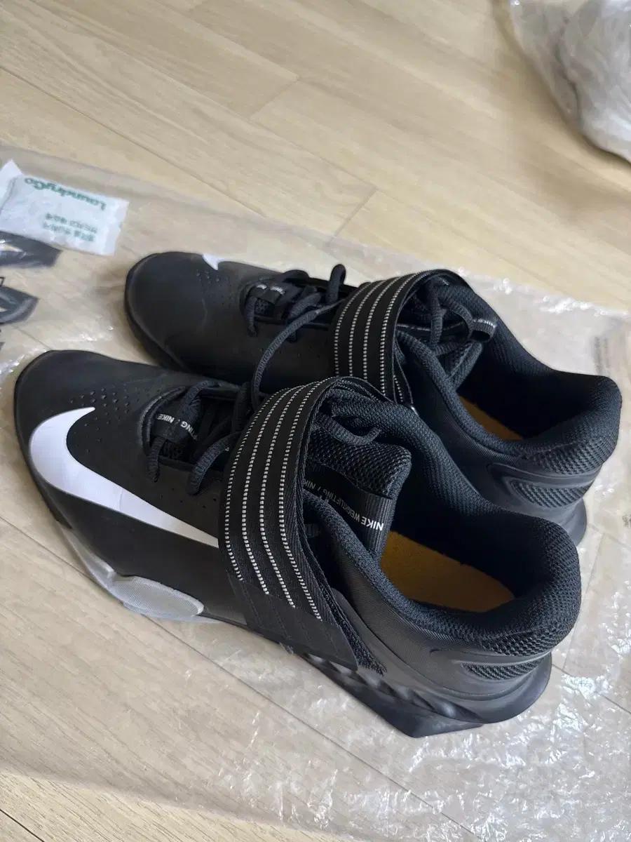 280 스쿼트화