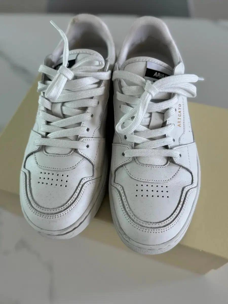 악셀 아리가토 dice lo sneaker 사이즈 eu 38, 245