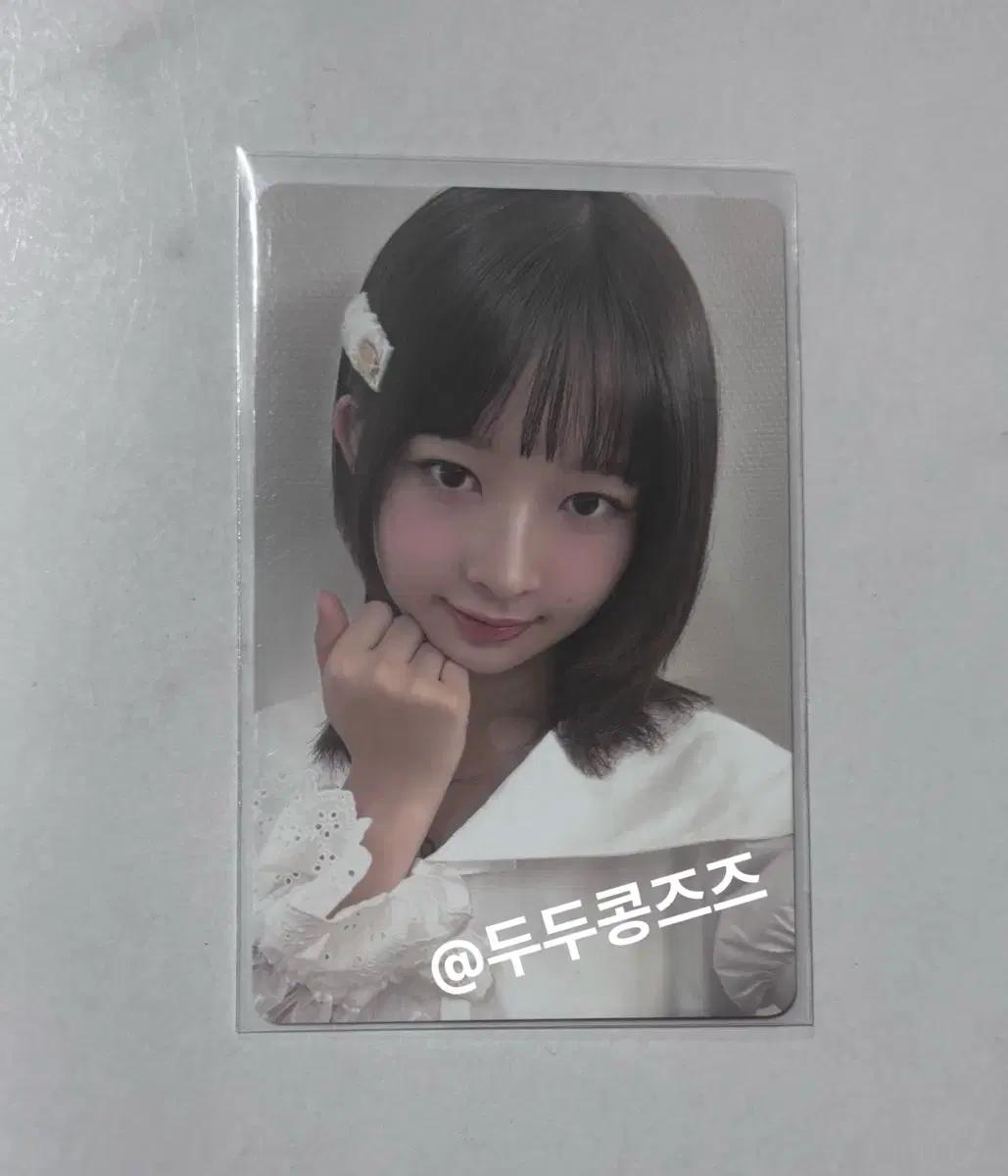 (공굿덤 증정) 아이브 레이 월드투어 소니뮤직 포카