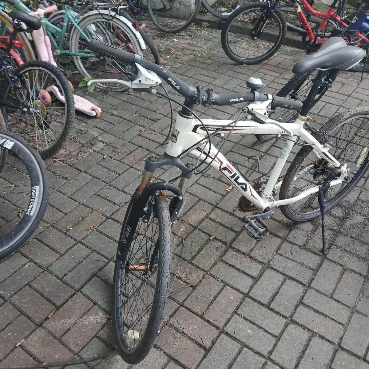 mtb자선거 필라