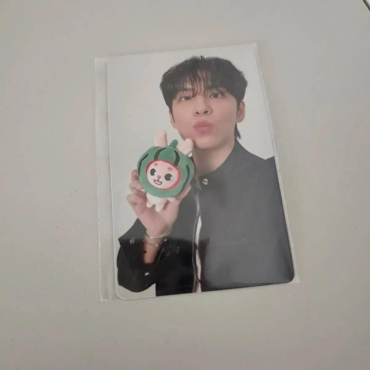 데이식스 포에버영 피날레 온라인 엠디 원필 포카