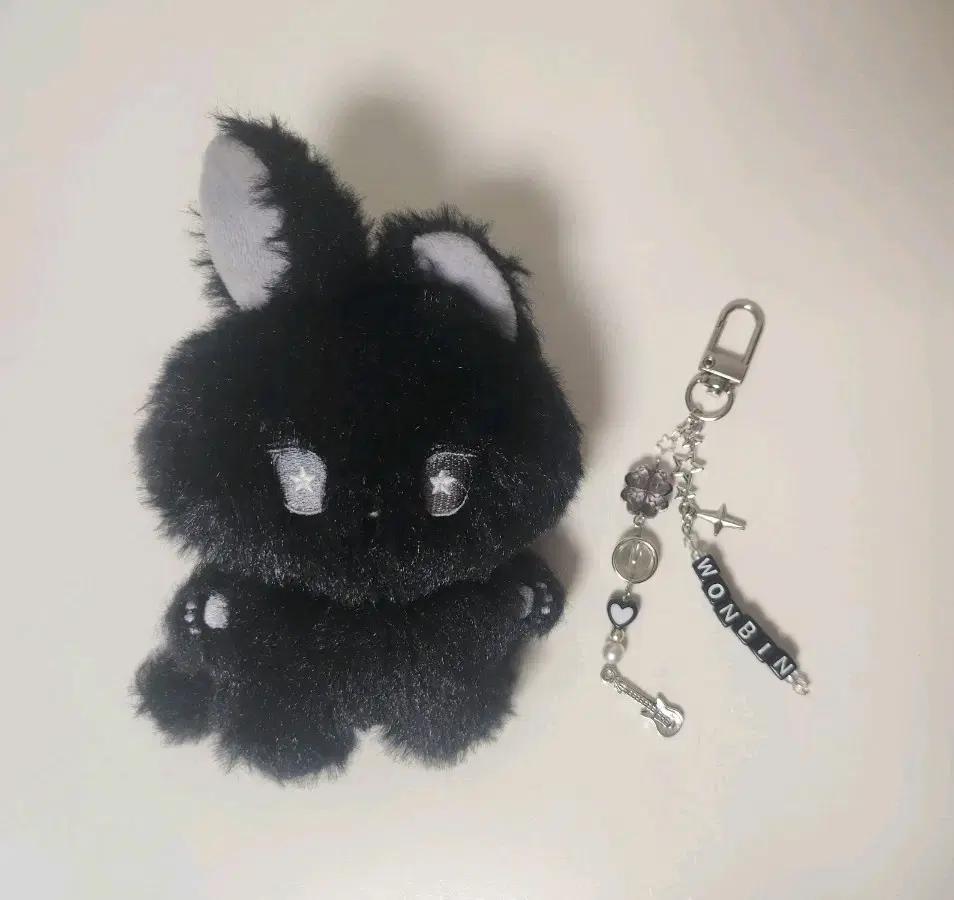 라이즈 원빈 10cm 인형 묘묘삔 비즈키링