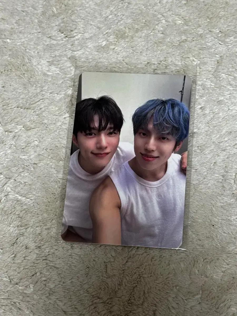 인피니트 명수 동우 포카 양도해요