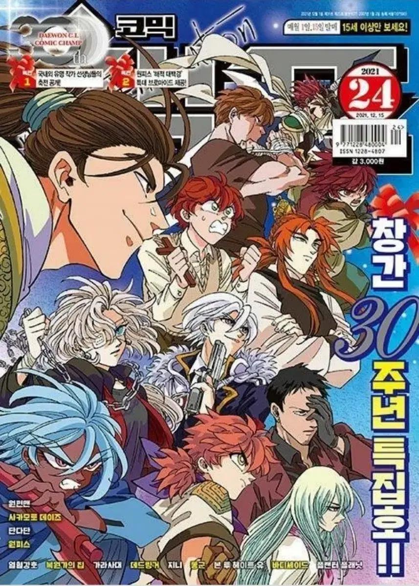 코믹 챔프 창간 30주년 특집 원피스 대해적 브로마이드 핀업 축전