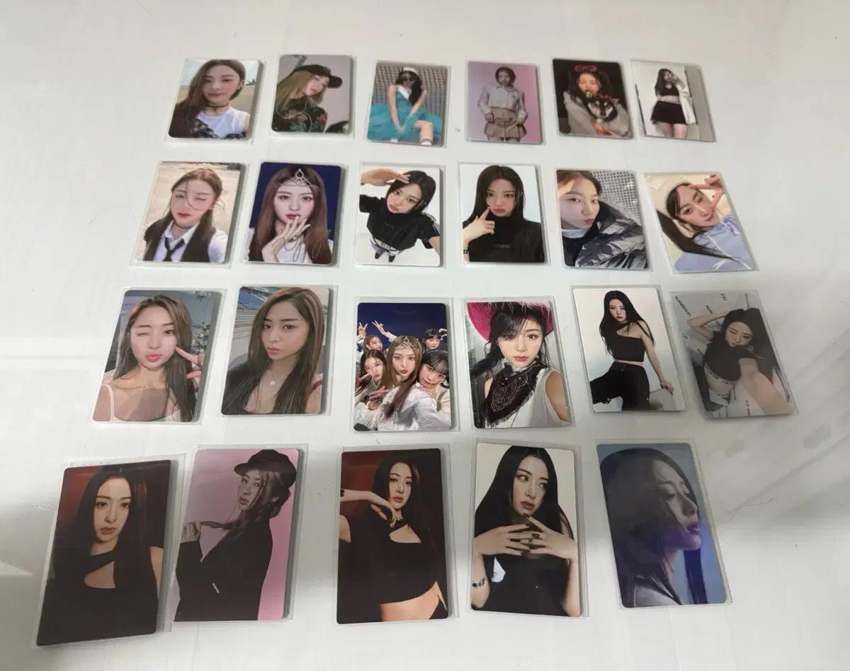 르세라핌 포카 (허윤진 김채원 카즈하 홍은채 사쿠라)