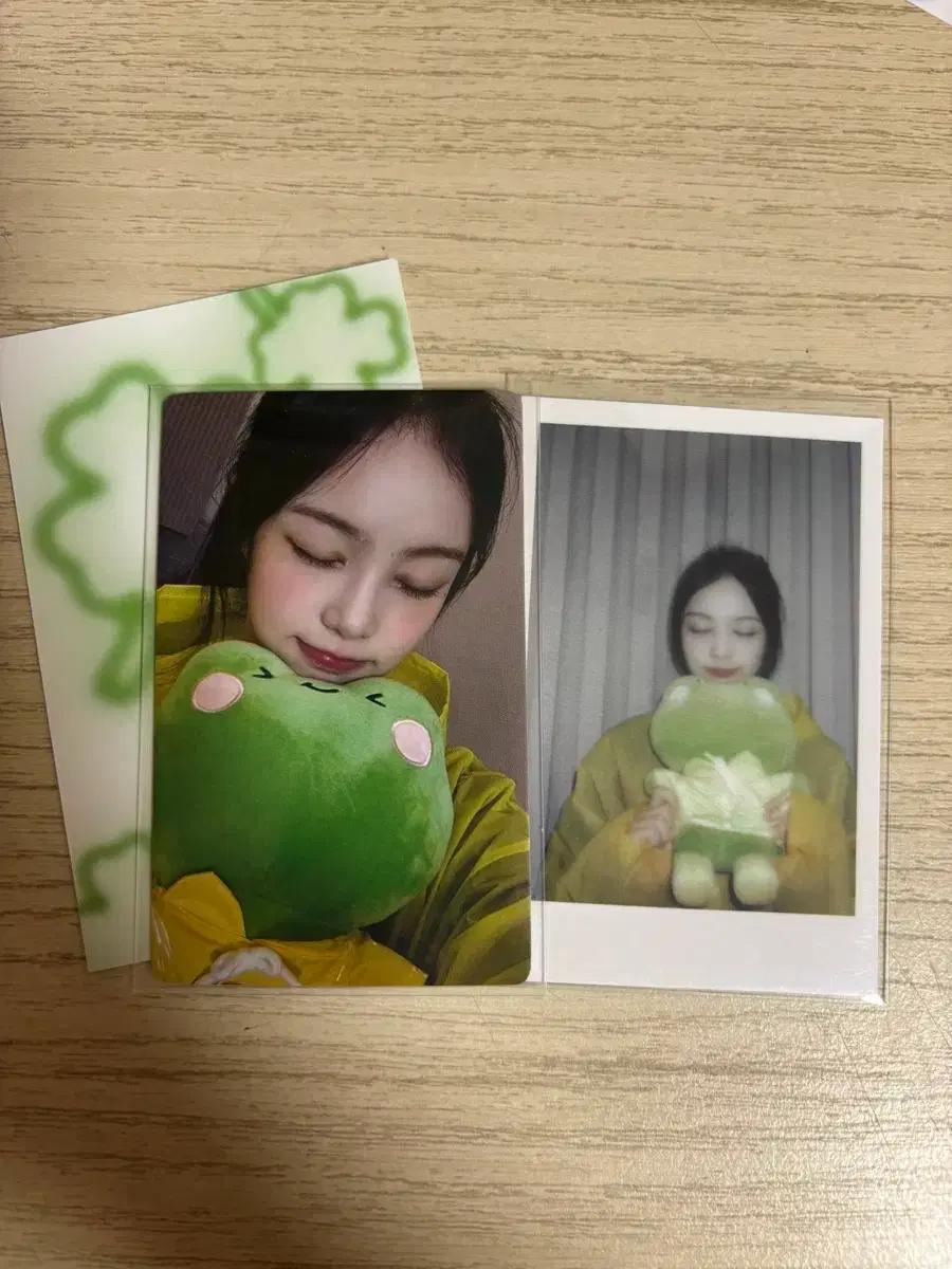하츠투하츠 이안 점프업 포카 럭드 개구리 인형 분철 세트 폴라로이드