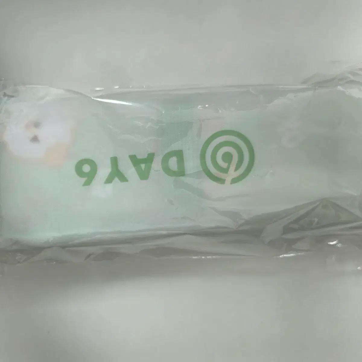 데이식스 폴딩 매트