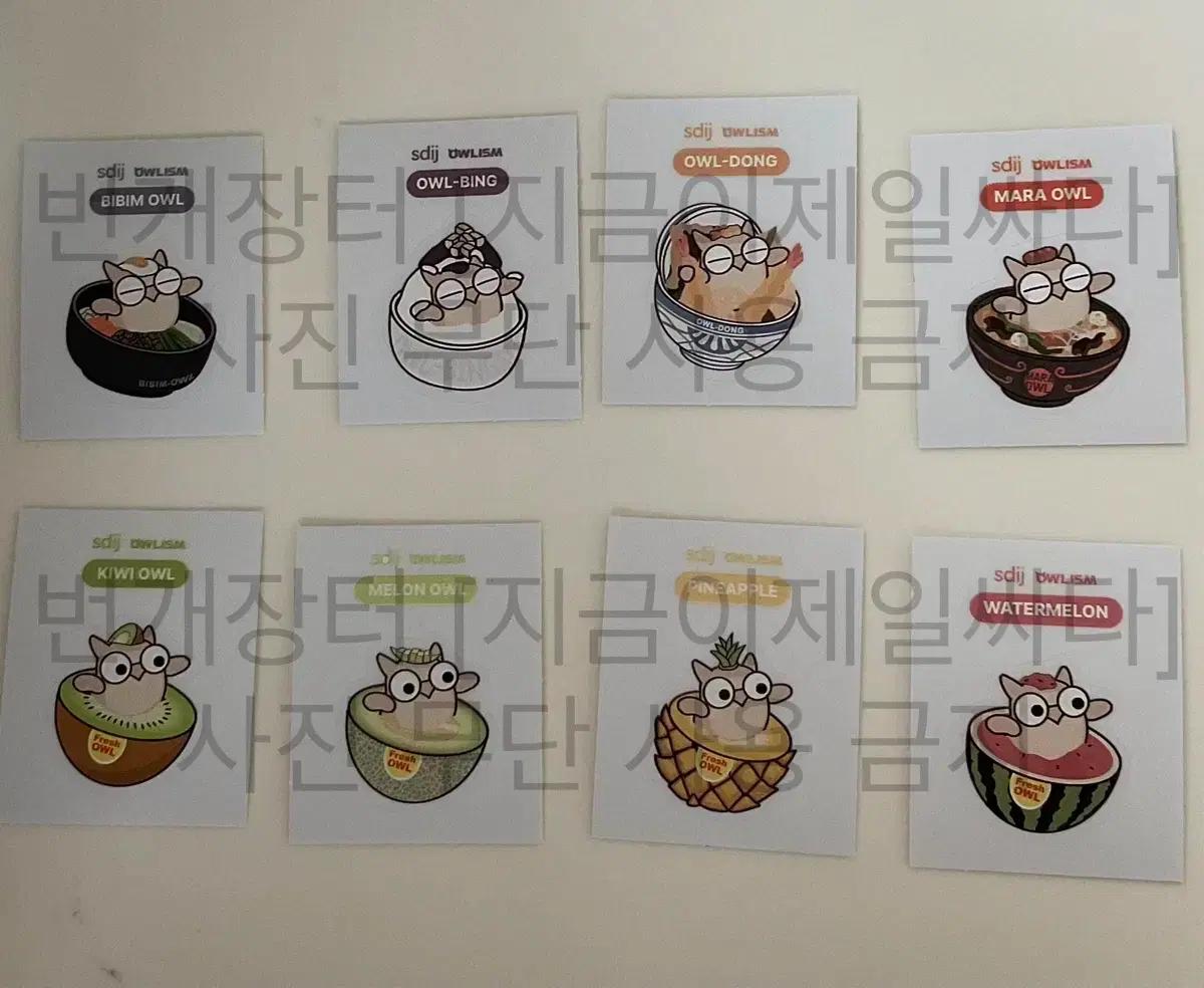 시대인재 부엉이 띠부띠부씰,스티커 OWLISM