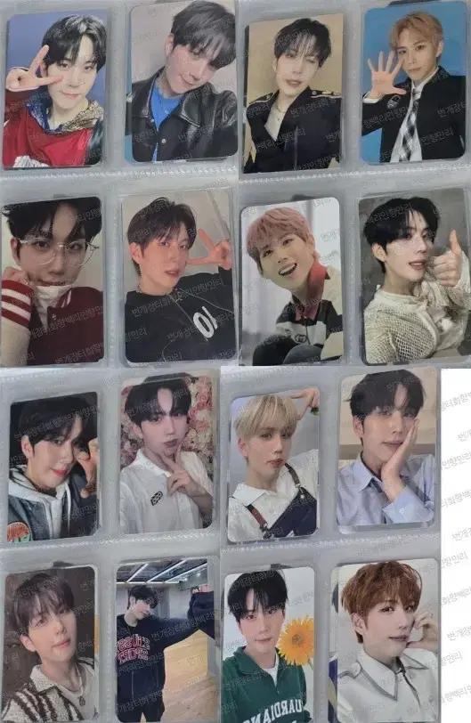 bae173 배칠삼 영서 포카 포토카드