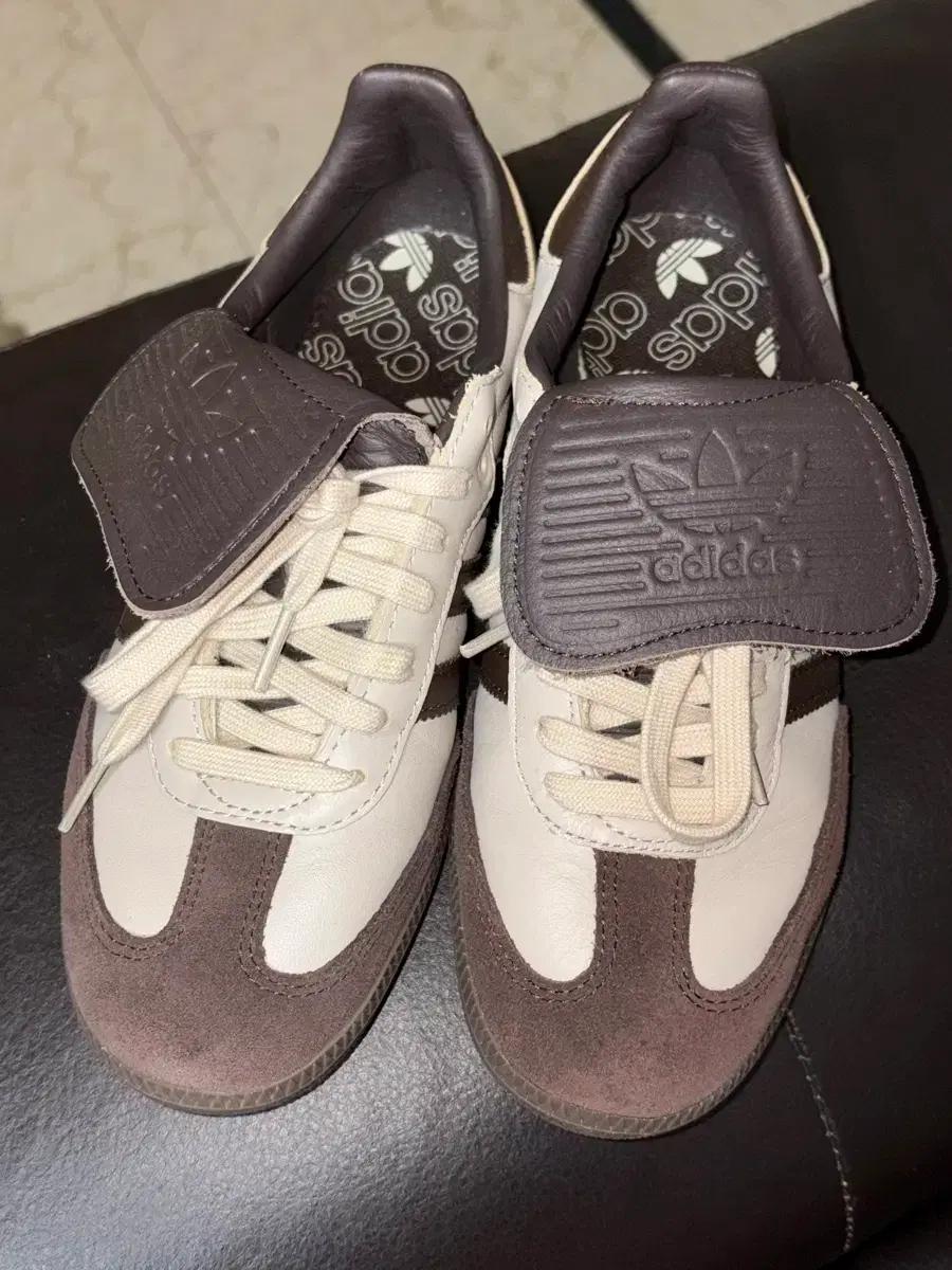 아디다스 삼바 LT Exclusive IENA JQ616