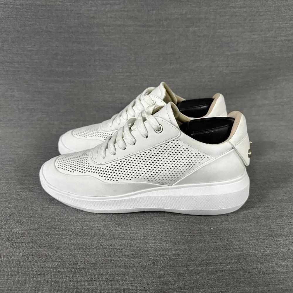 제옥스 키높이 스니커즈/여성(240mm)/s739