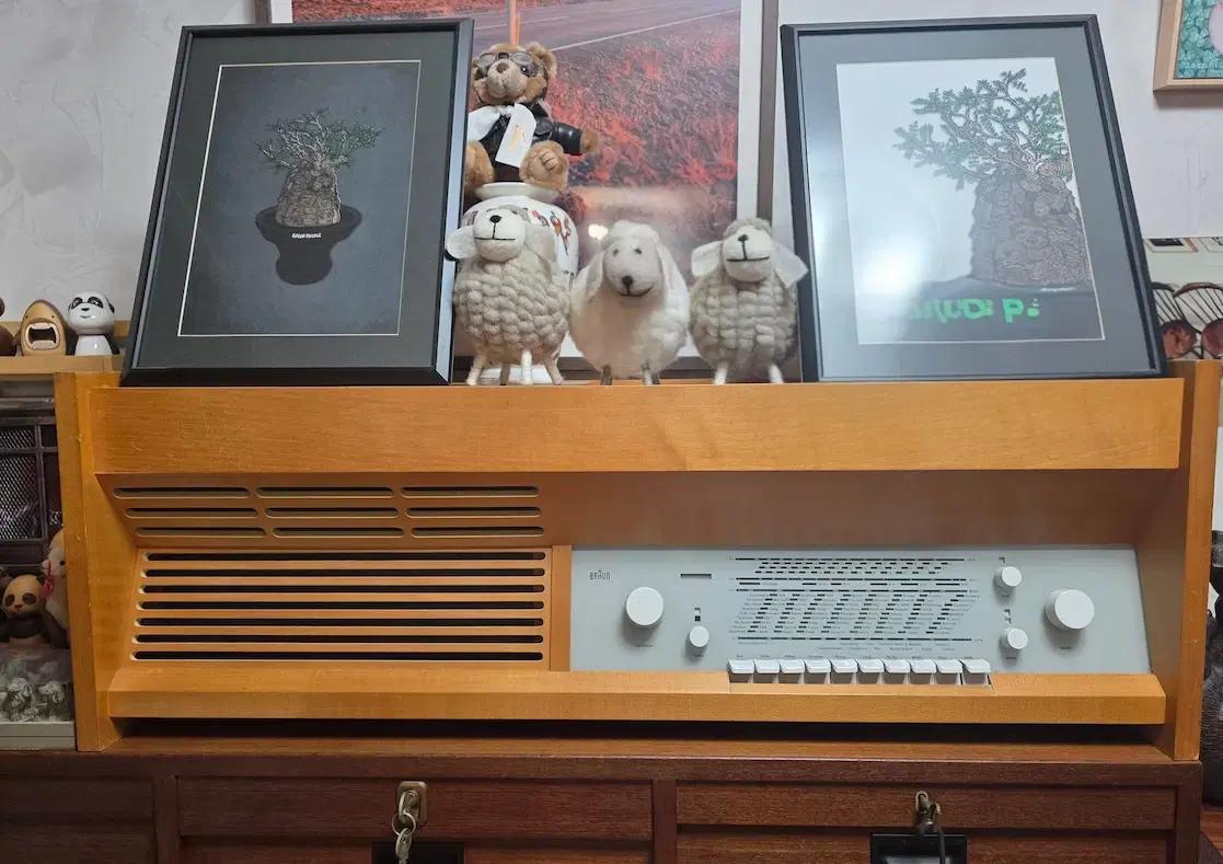 Braun PKG 5-81 브라운 PKG 5-81