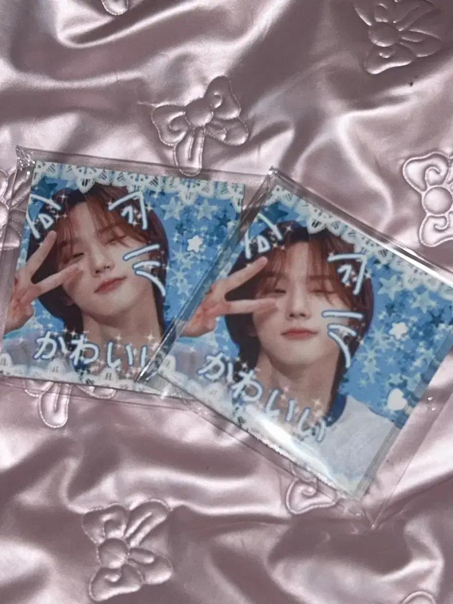 보이넥스트도어 보넥도 박성호 도무송 비공굿 프리쿠라 ㅅㅊㅇ 무료나눔