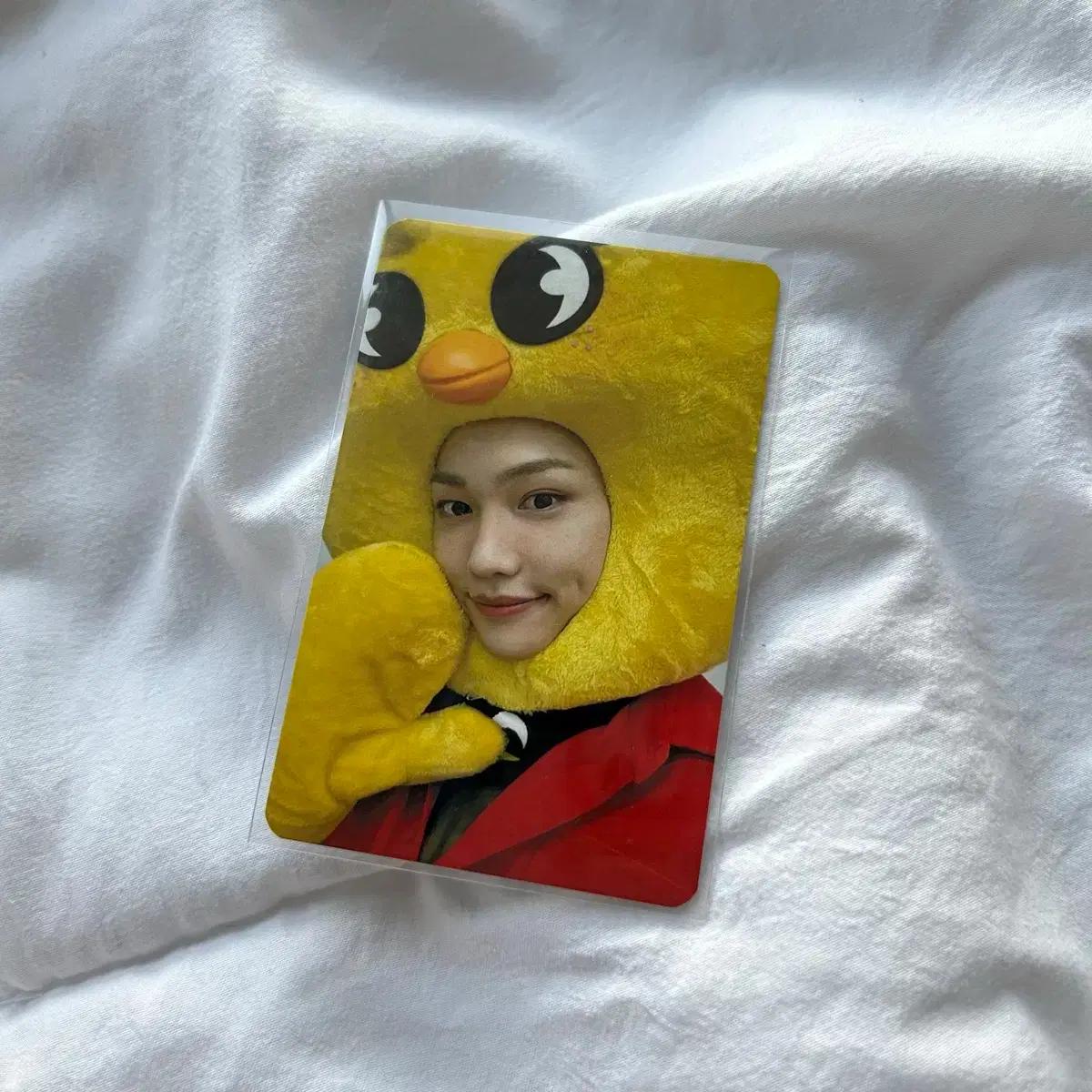 필릭스 뽁아리 포카 스키즈 노이지 사웨 사운드웨이브 미공포 특전 양도