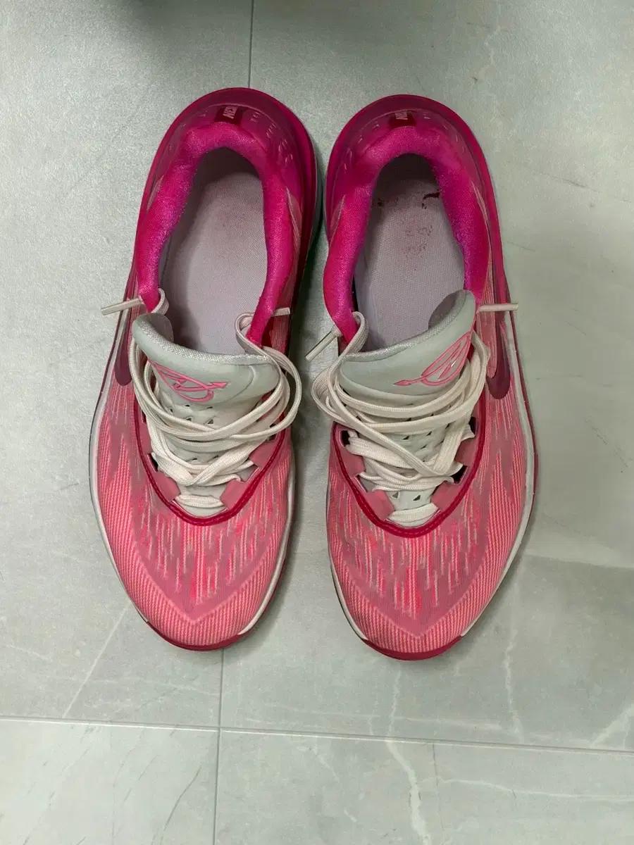 나이키 지티 컷 2 농구화 급처