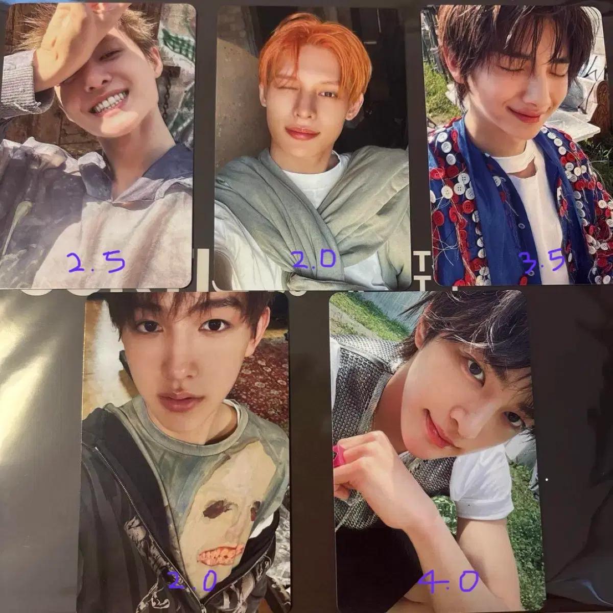 코르티스 CORTIS 위버스 재팬 포카 양도