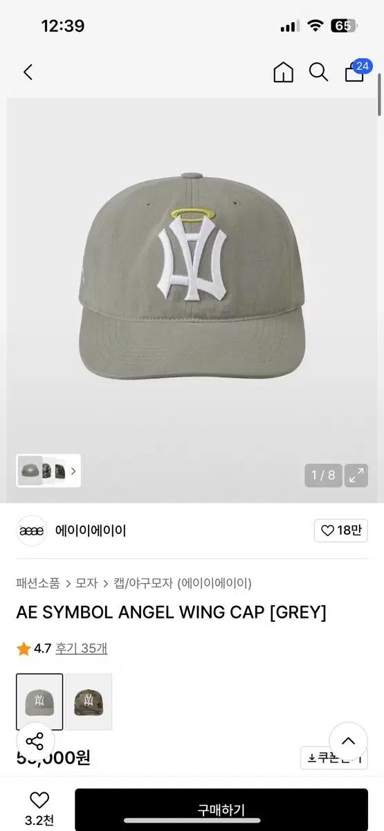 AEAE 앤젤 윙 캡 그레이 AEAE Ae Symbol Angel Win