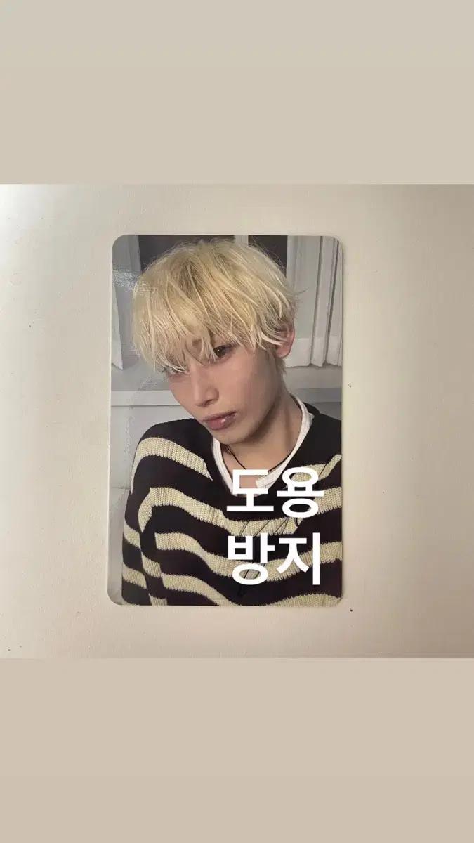 엔하이픈 선우 친필 싸인 포카