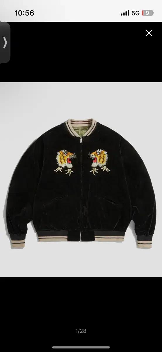 브론슨 스카잔 40사이즈