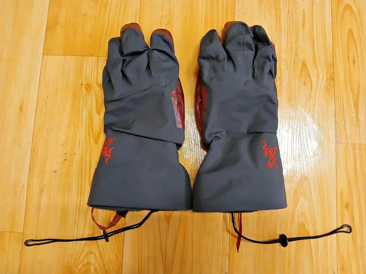 Arc'teryx BETA AR Globe GORE-TEX - 넬슨 정품