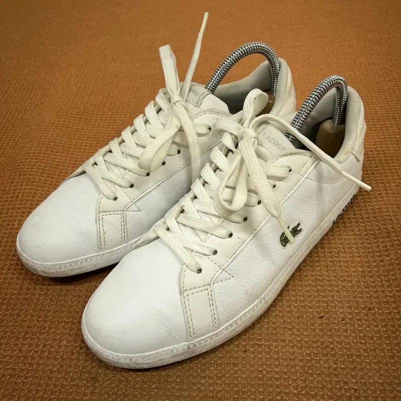 라코스테 화이트 스니커즈 남자 단화 신발 UK4 G08432
