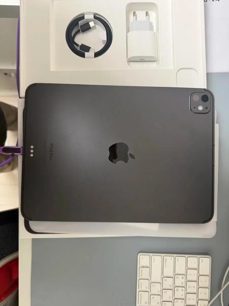 아이패드 프로 m4 11인치 셀룰러 256GB