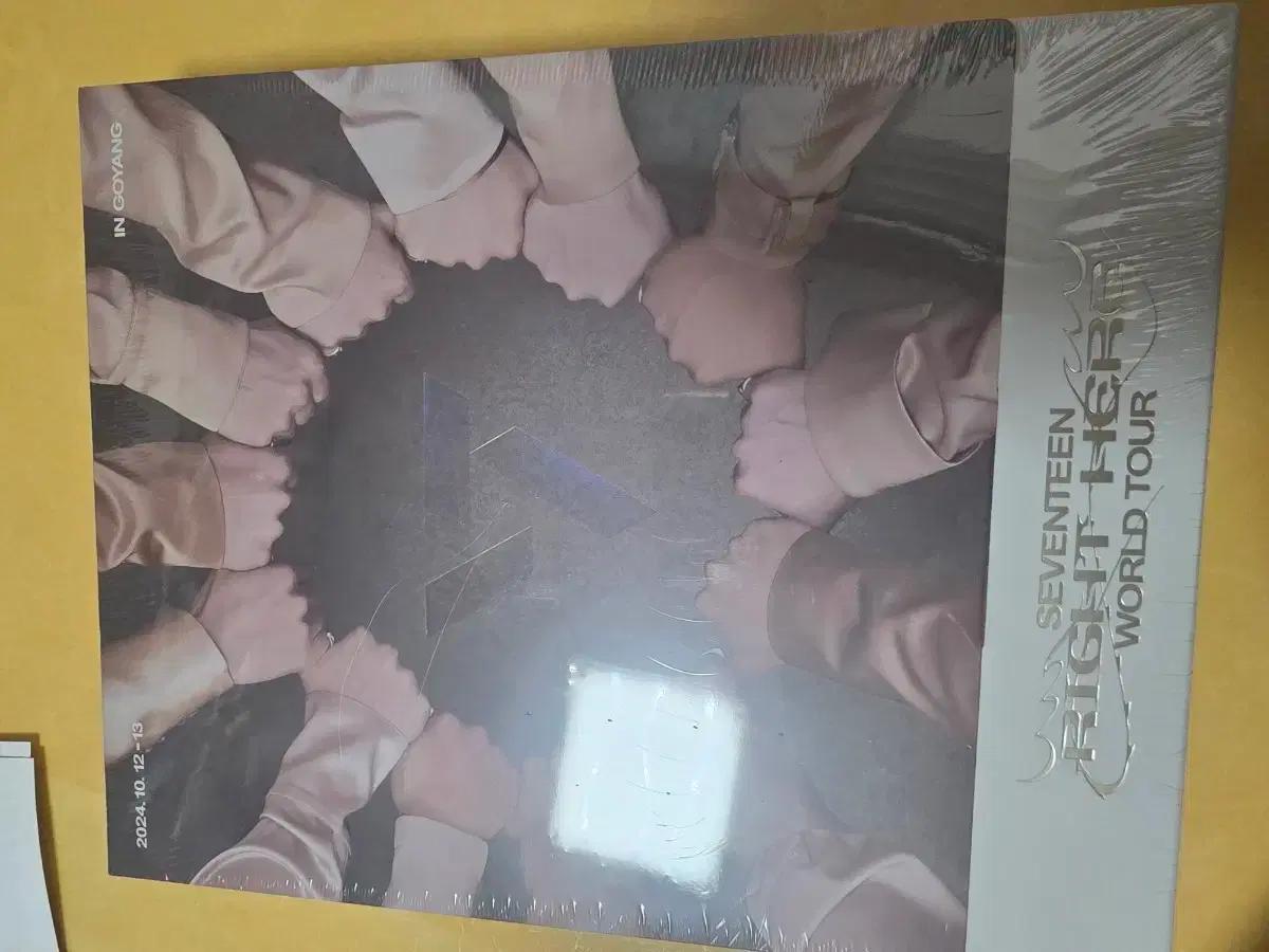 SEVENTEEN WORLD TOUR RIGHT HERE