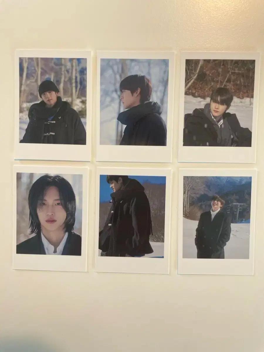 덤있음) 라이즈 폴라 비공굿 쇼타로은석성찬원빈소희앤톤 폴라로이드 비공굿