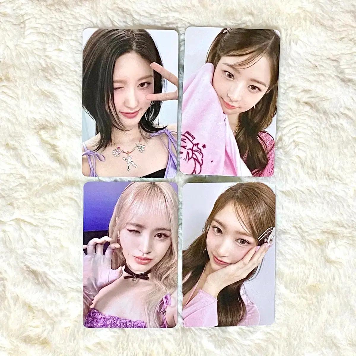아이브 마인 사웨 싱가포르 포카 가을 레이 리즈 이서