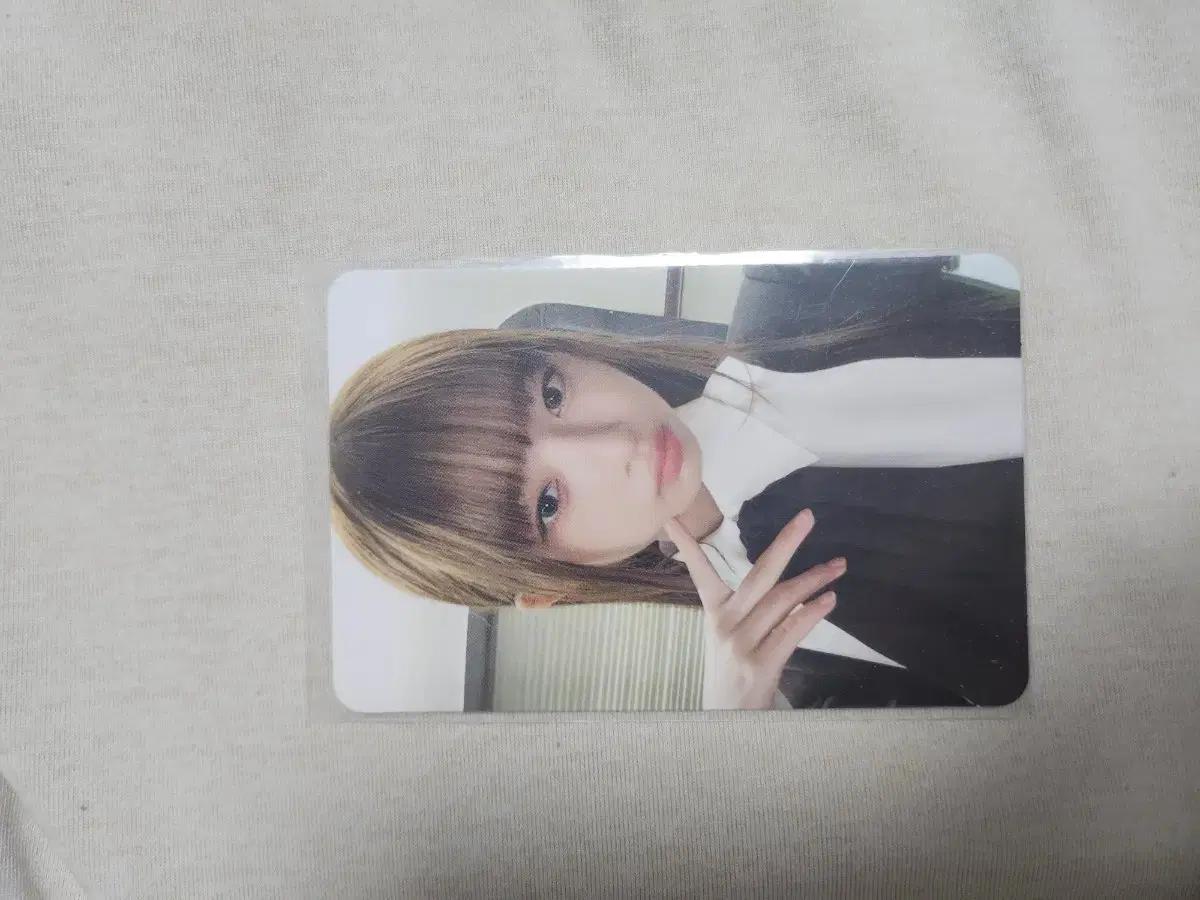 아이브 레이포카