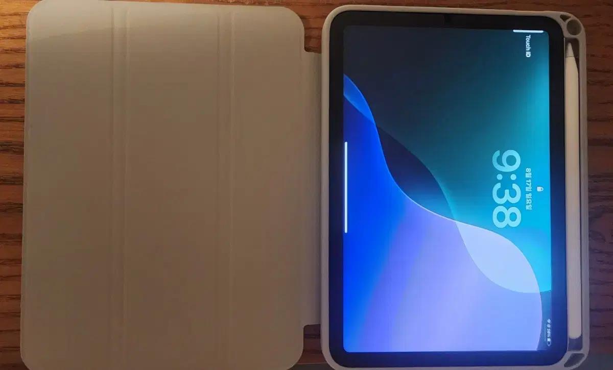 아이패드 미니 A17 cellular 128G+ 애플펜슬pro