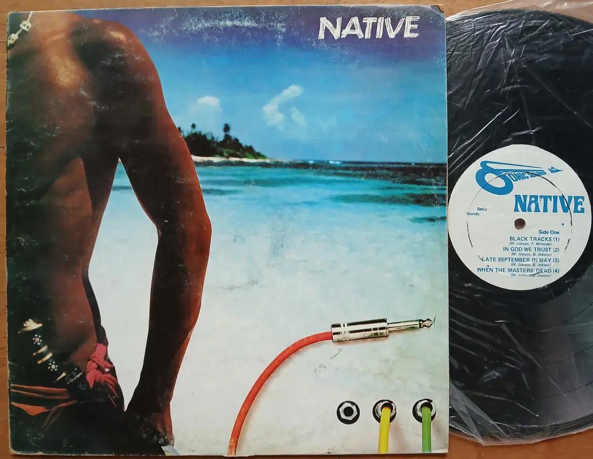 흑인음악 레게 LP 네이티브 Native