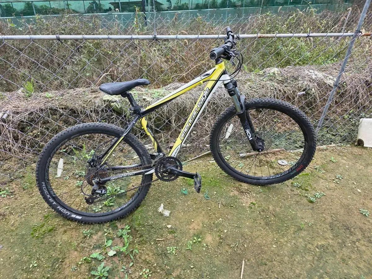 아메리칸 이글 (유사 mtb)