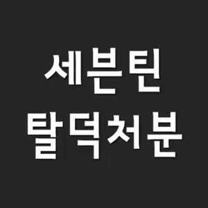 급처 탈덕처분) 세븐틴 굿즈처분 // 도무송무나무료나눔포카앨범포토카드비공굿