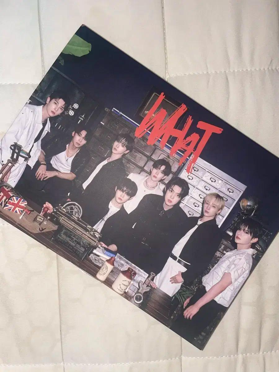 Bae173 what DVD 판매