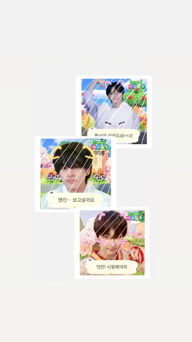 엔하이픈 도무송