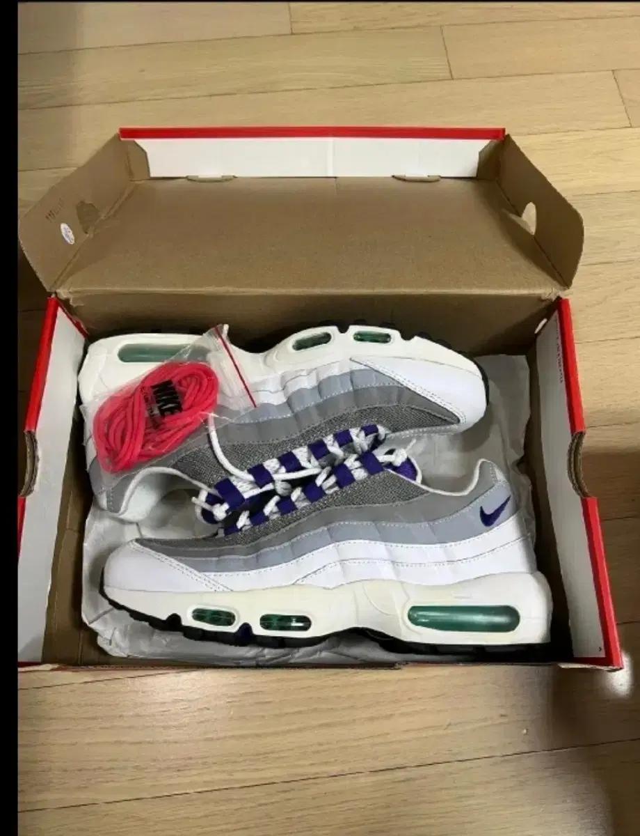 [W285] 맥스 95 그레이프