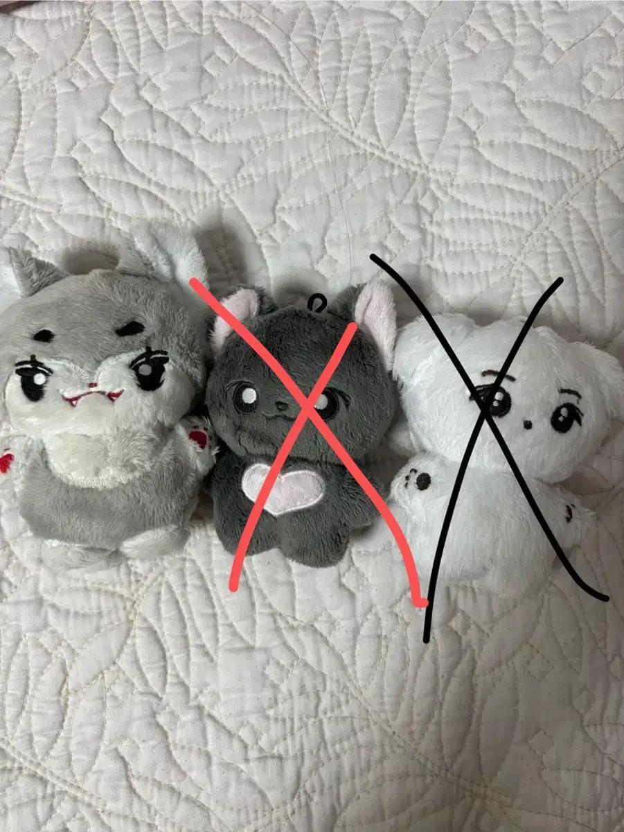 라이즈 10cm 인형 송은석 늑서기 원빈 삐냥이 판매양도