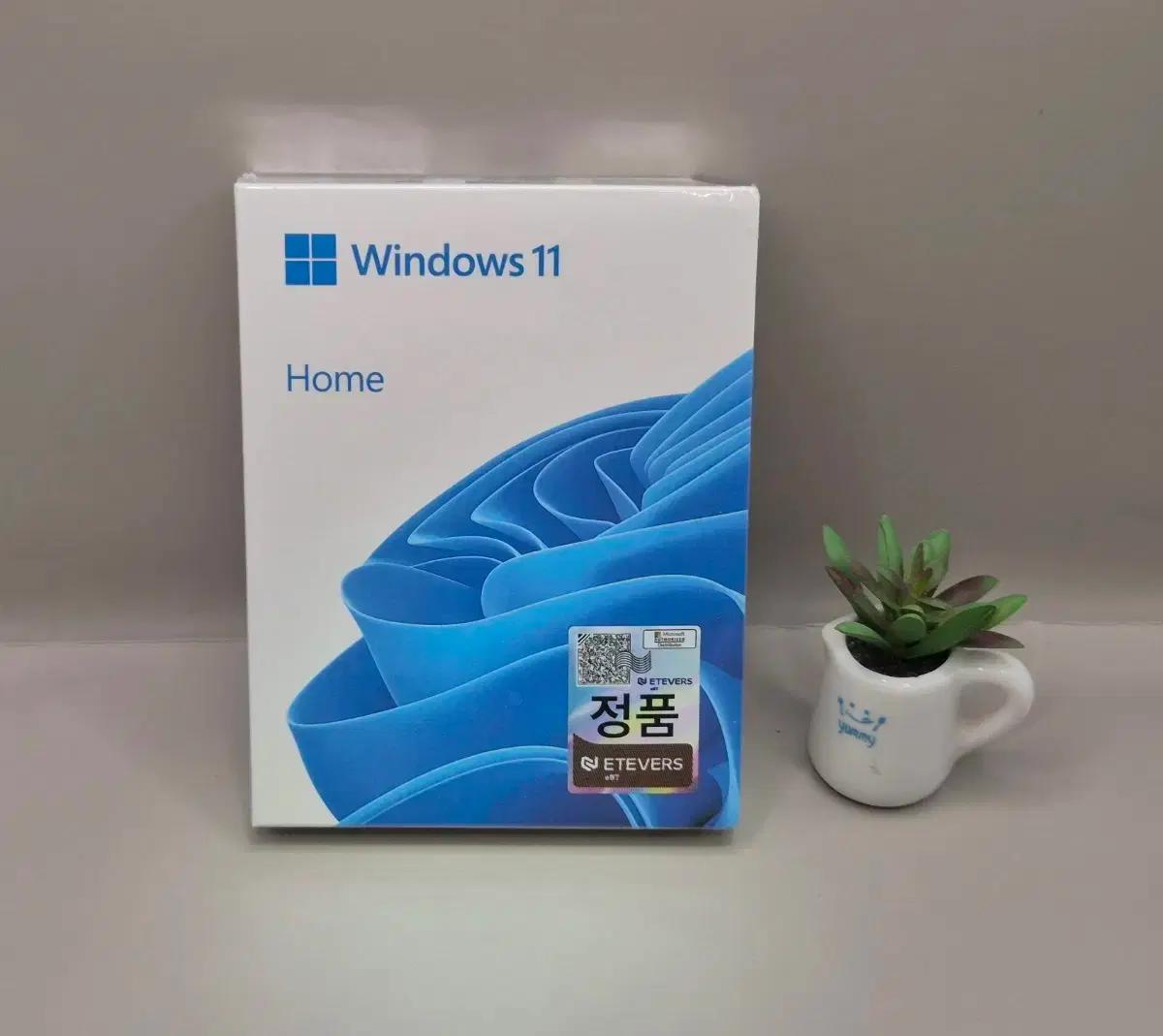 윈도우 11 Home FPP 박스패키지 (USB, 라이선스키)