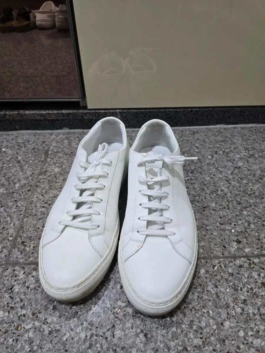 커먼 프로젝트 아킬렉스 로우 41