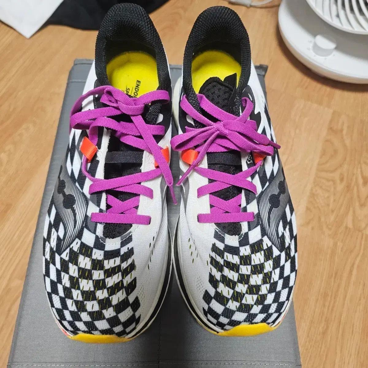 써코니 앤돌핀프로2 250사이즈