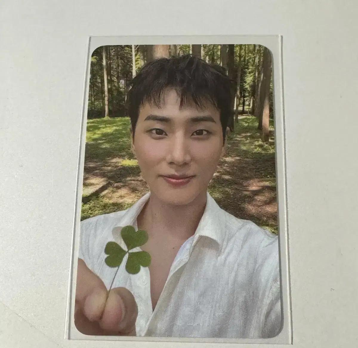 데이식스 영케이 레윗노 클로버 포카 포토카드