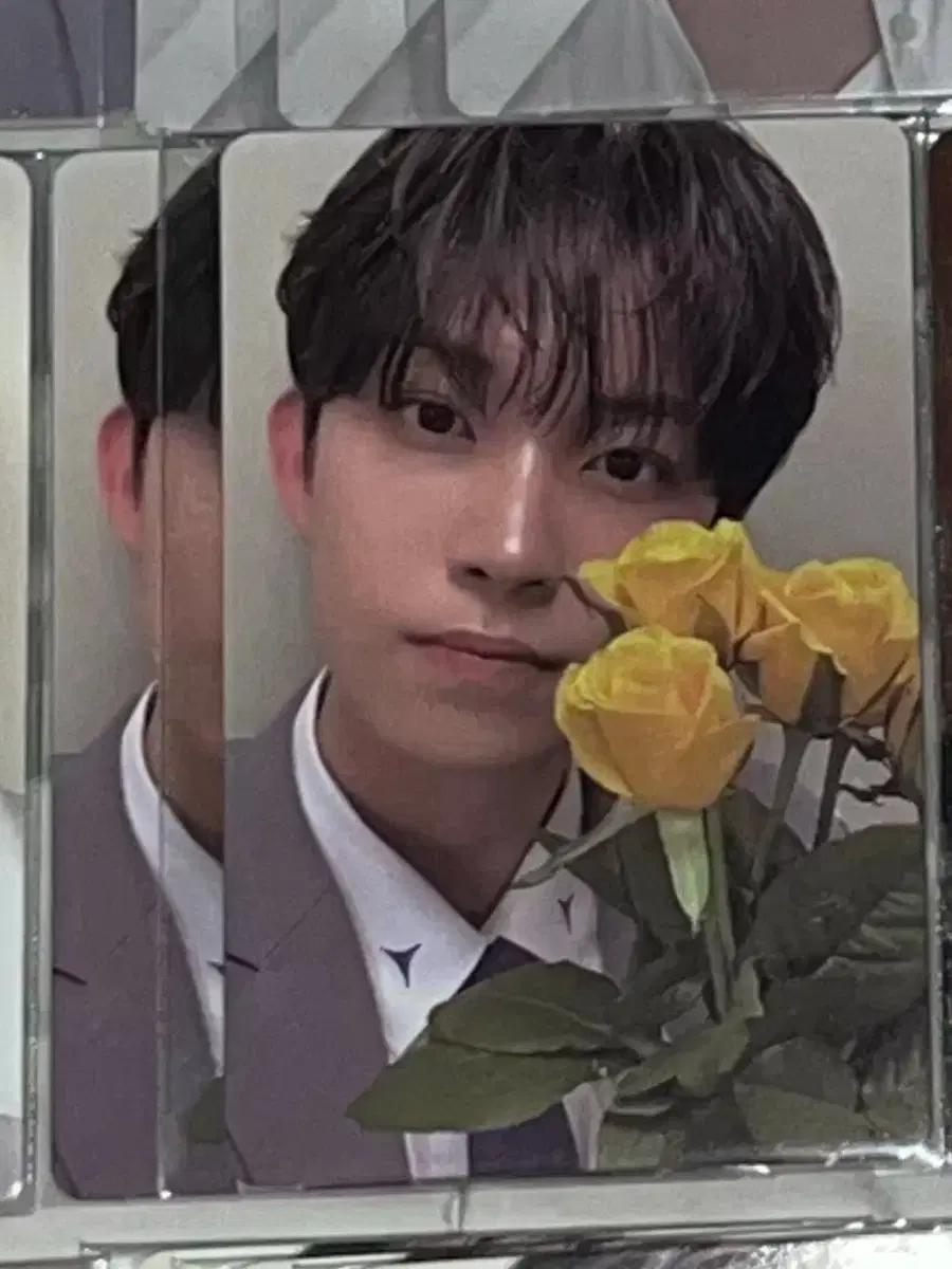 보플 팝업 전시회 2주차 포카 양도 판매 ALD1 알디원 김건우 5번